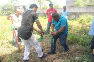 tuscania-homechoice-project